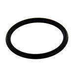 Anel O Ring da Bobina - Novo Palio - Grand Siena - Uno - Idea - Doblo - Fiat 500 - Fiorino - Palio - Punto - Siena - Strada