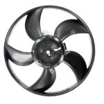 698601R_Fiat_03