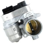 SMF00102_corpo_borboleta_palio_siena_fire_magnet_01