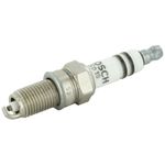 SP19_FIAT_1