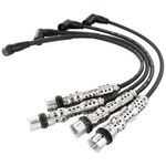 STV38_VW_1