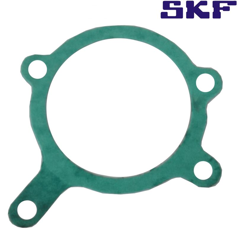 SKFVKPC84406A-bomba-skf-escort-zetec-5