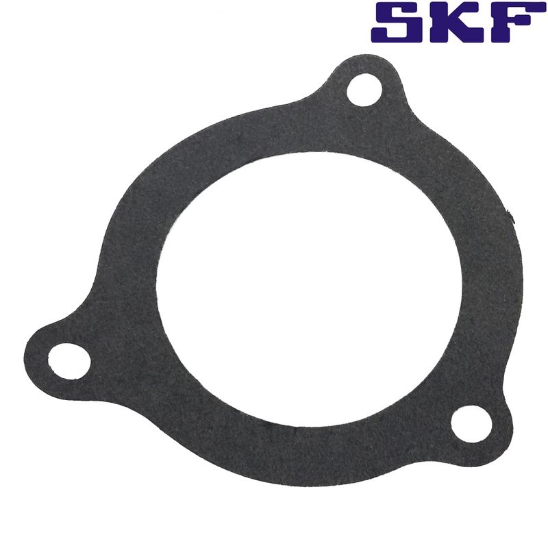 SKFVKPC84419A-bomba-skf-zetec-rocam-5