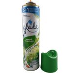 650401-glade-aerosol-manhadocampo-2