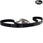 6pk1200sf_correia_gates_gol_fox_spacefox_1