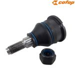 PSC01001M_pivo_fusca_brasilia_variant_cofap_2