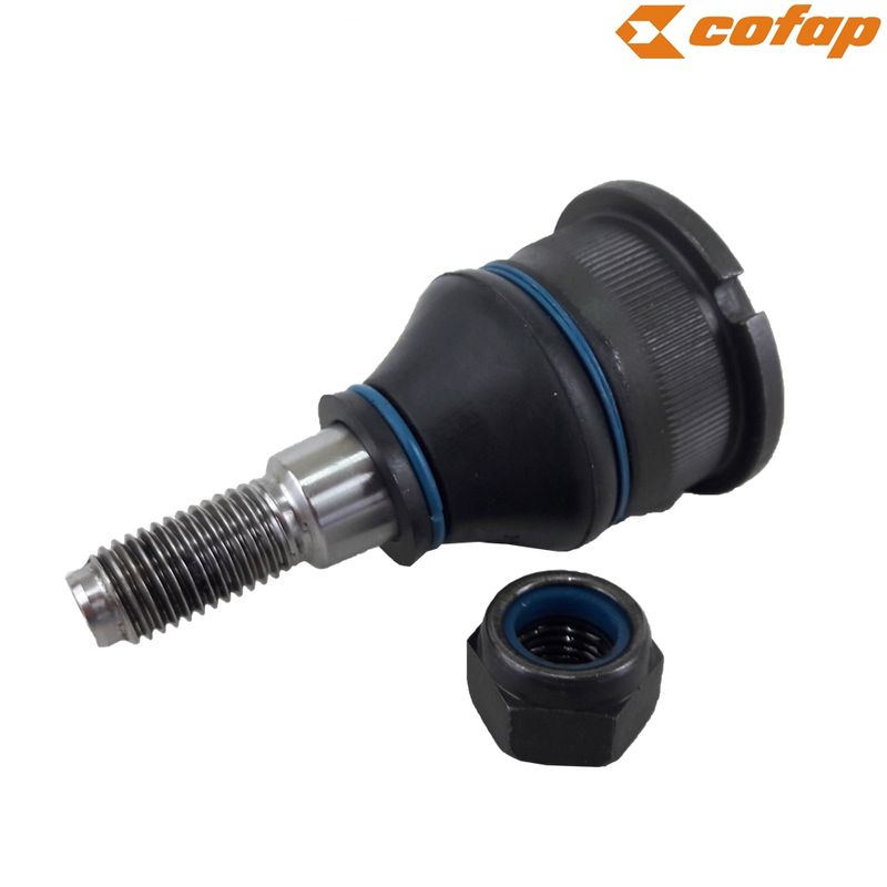 PSC01001M_pivo_fusca_brasilia_variant_cofap_2