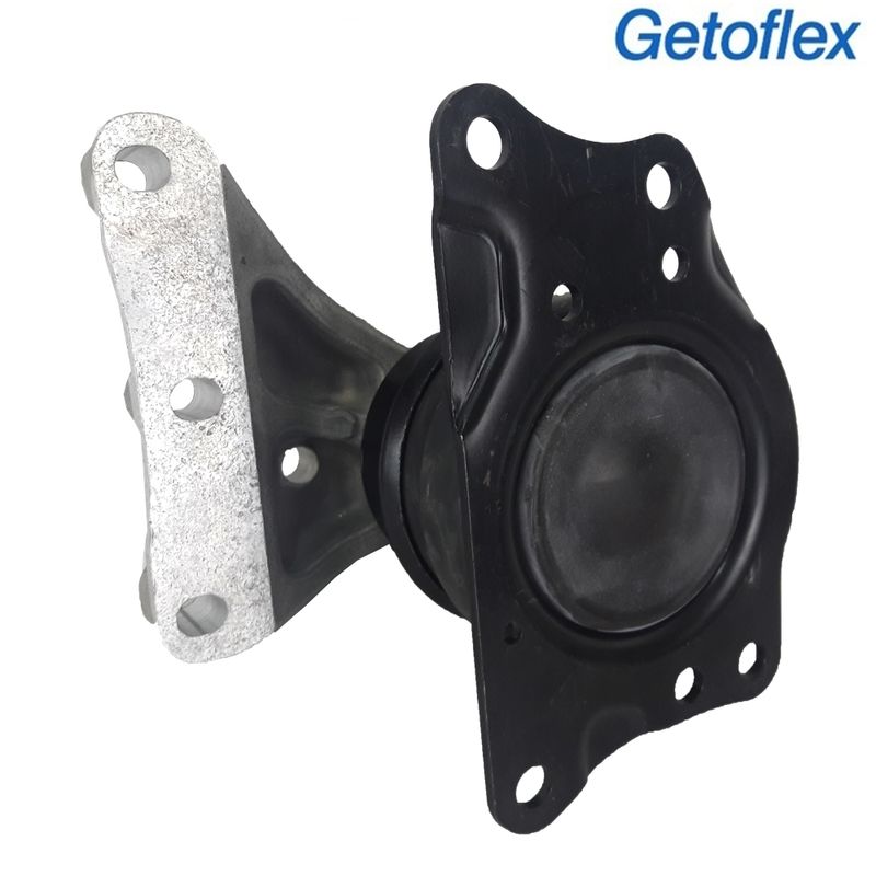 GTX100126_coxim_motor_polo_getoflex_3