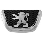 7810P7-emblema-grade-original-peugeot-307-1