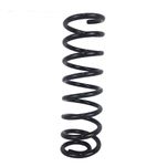 Mola Traseira Original Aliperti Renault Sandero Stepway 2007 em Diante (Preço Unitário)