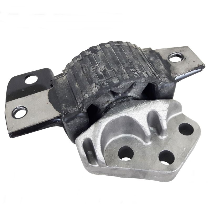 106303_coxim_motor_direito_punto_1