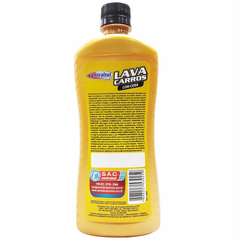 CTS539259-lava-carros-com-cera-centralsul-2