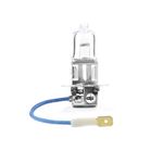 LAMPADA-H3-RABICHO