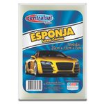 esponja-lava-carros-centralsul