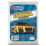 Esponja Para Limpeza - CentralSul