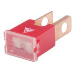 AMS19150-FUSIVEL-MEGA-MACHO-VERMELHO-50A