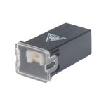 Fusivel Midi Femea Jcase Standard Preto 80A Ford