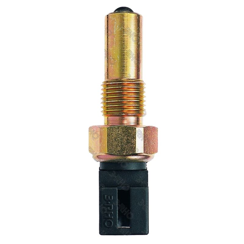 RHO4489-INTERRUPTOR