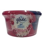 11039-glade-car-frutas-e-flores-70g