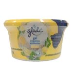 697812-glade-car-gel-citrus-70g