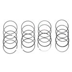 ASVW16B100-jogo-de-aneis-de-segmento-motor-akl-1.6