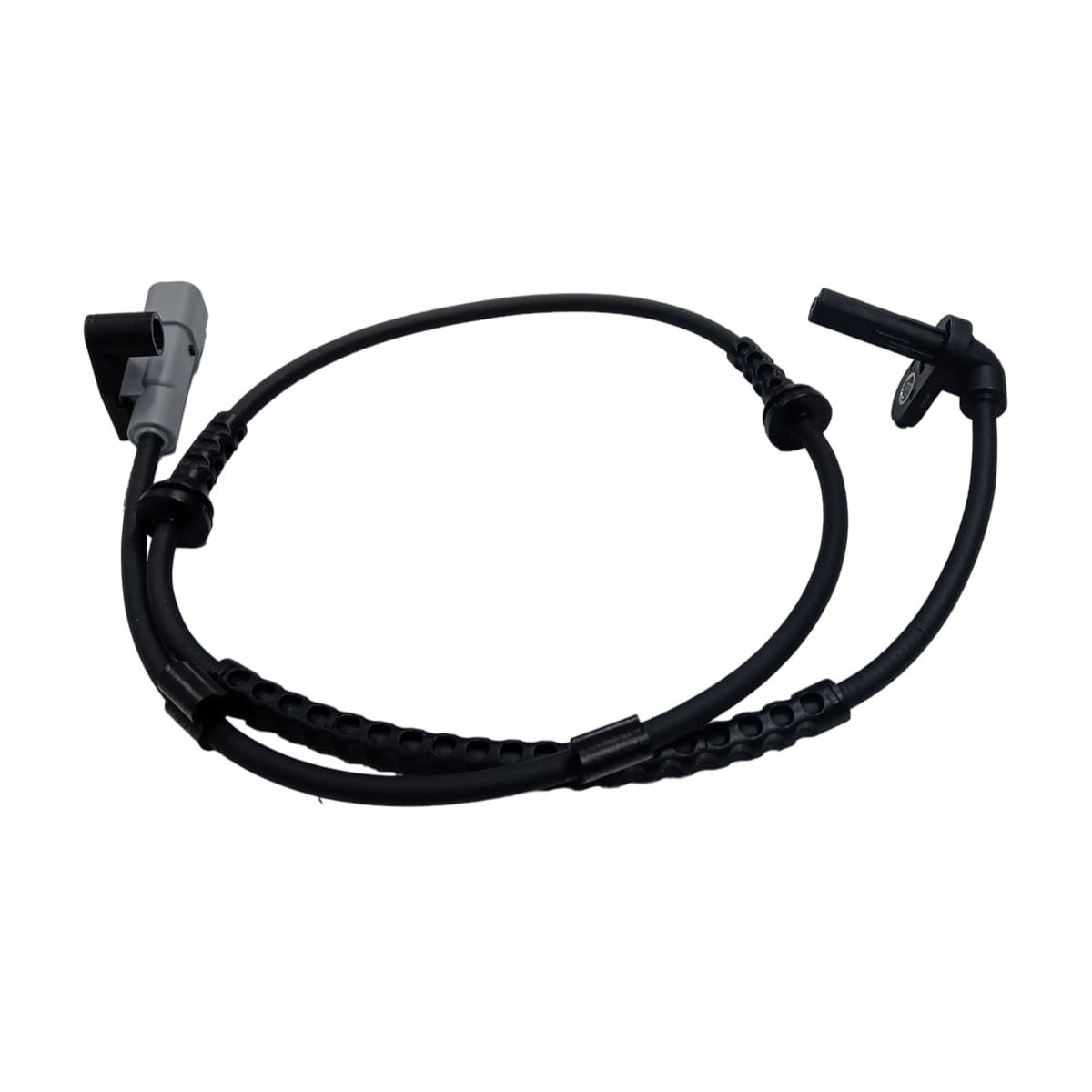 TS ADVAN SUNNY #２５ AWN2A013_2.jpg?v=