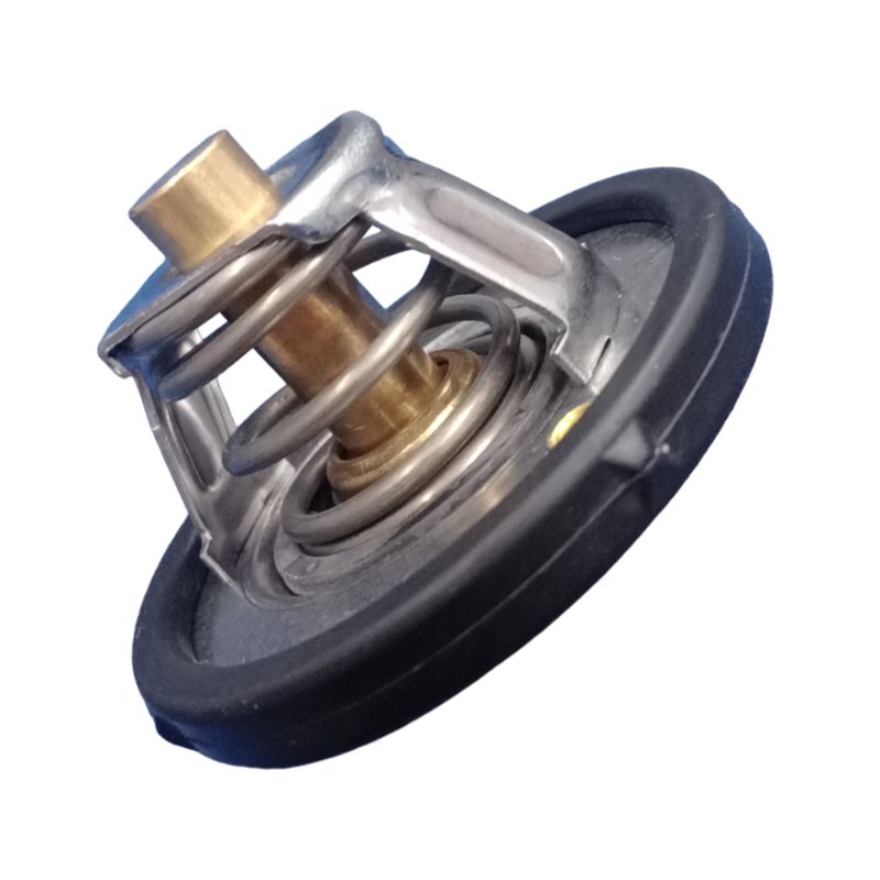 BE8Z8575Z-valvula-termostatica-motor-sigma