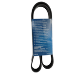 DAY6PK1255 -2-.png