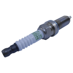 LKAR7AGP -1-.png