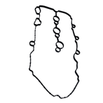 25197327--3-.png