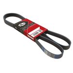 Correia Elástica Micro V Gates Linea Absolute 2010 até 2012