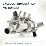 YNTM1286_1
