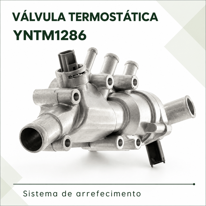 YNTM1286_1